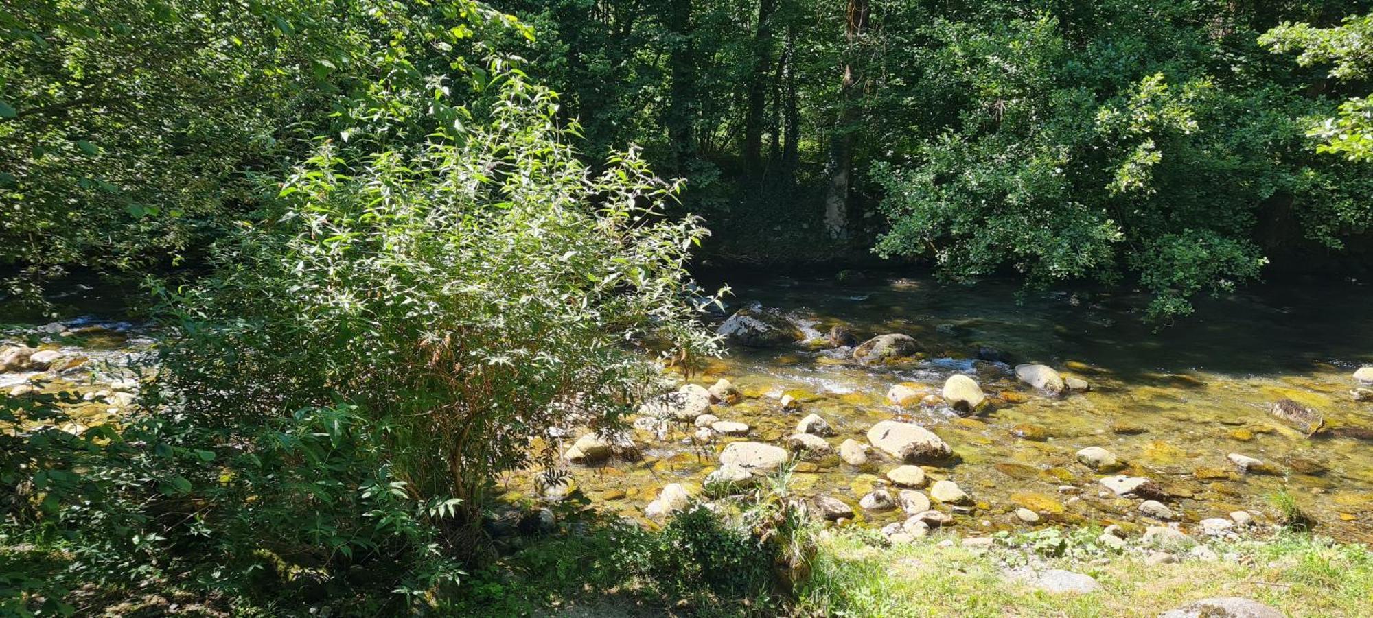 Appartement Ariege, Agreable T2 En Bord De Riviere à Val-de-Sos Extérieur photo